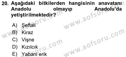 Bahçe Tarımı 1 Dersi 2015 - 2016 Yılı (Final) Dönem Sonu Sınav Soruları 20. Soru