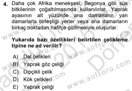 Bahçe Tarımı 1 Dersi 2015 - 2016 Yılı (Final) Dönem Sonu Sınav Soruları 4. Soru