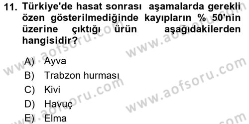 Bahçe Tarımı 1 Dersi 2015 - 2016 Yılı Tek Ders Sınav Soruları 11. Soru