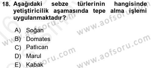 Bahçe Tarımı 1 Dersi 2015 - 2016 Yılı Tek Ders Sınavı 18. Soru