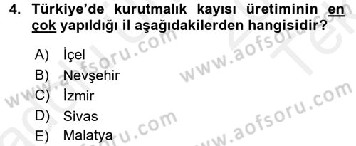 Bahçe Tarımı 1 Dersi 2015 - 2016 Yılı Tek Ders Sınav Soruları 4. Soru