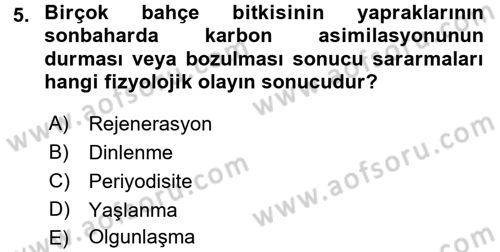 Bahçe Tarımı 1 Dersi 2015 - 2016 Yılı Tek Ders Sınav Soruları 5. Soru