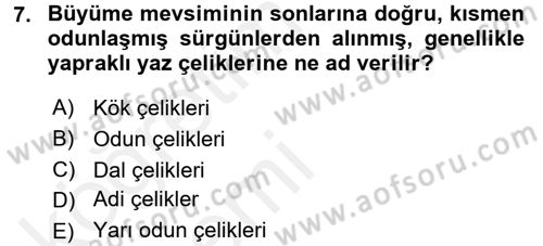 Bahçe Tarımı 1 Dersi 2015 - 2016 Yılı Tek Ders Sınav Soruları 7. Soru