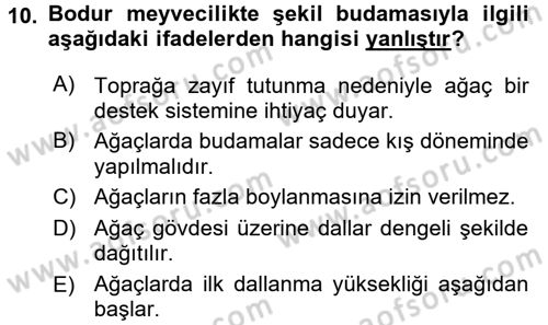 Bahçe Tarımı 1 Dersi 2016 - 2017 Yılı 3 Ders Sınav Soruları 10. Soru