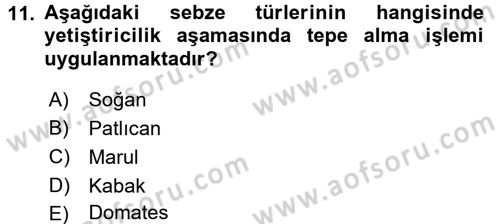 Bahçe Tarımı 1 Dersi 2016 - 2017 Yılı 3 Ders Sınav Soruları 11. Soru