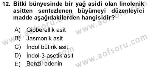 Bahçe Tarımı 1 Dersi 2016 - 2017 Yılı 3 Ders Sınav Soruları 12. Soru