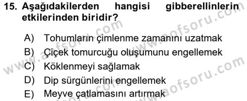 Bahçe Tarımı 1 Dersi 2016 - 2017 Yılı 3 Ders Sınav Soruları 15. Soru