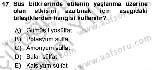 Bahçe Tarımı 1 Dersi 2016 - 2017 Yılı 3 Ders Sınav Soruları 17. Soru