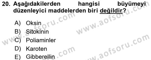 Bahçe Tarımı 1 Dersi 2016 - 2017 Yılı 3 Ders Sınav Soruları 20. Soru