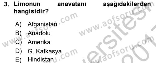 Bahçe Tarımı 1 Dersi 2016 - 2017 Yılı 3 Ders Sınav Soruları 3. Soru