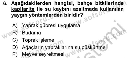 Bahçe Tarımı 1 Dersi 2016 - 2017 Yılı 3 Ders Sınav Soruları 6. Soru
