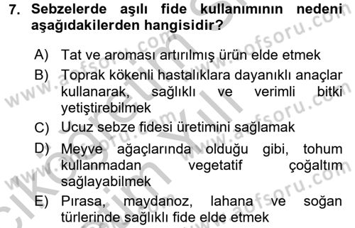 Bahçe Tarımı 1 Dersi 2016 - 2017 Yılı 3 Ders Sınav Soruları 7. Soru