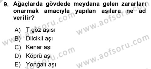 Bahçe Tarımı 1 Dersi 2016 - 2017 Yılı 3 Ders Sınav Soruları 9. Soru