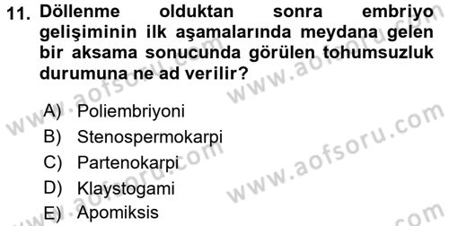Bahçe Tarımı 1 Dersi 2016 - 2017 Yılı (Vize) Ara Sınav Soruları 11. Soru