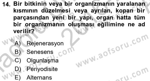 Bahçe Tarımı 1 Dersi 2016 - 2017 Yılı (Vize) Ara Sınav Soruları 14. Soru