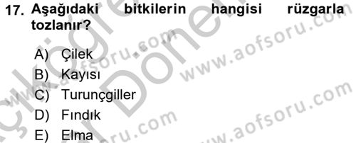Bahçe Tarımı 1 Dersi 2016 - 2017 Yılı (Vize) Ara Sınav Soruları 17. Soru