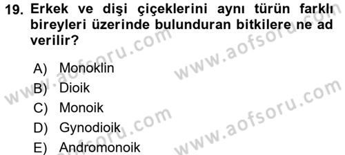 Bahçe Tarımı 1 Dersi 2016 - 2017 Yılı (Vize) Ara Sınav Soruları 19. Soru