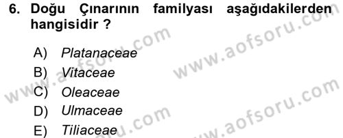 Bahçe Tarımı 1 Dersi 2016 - 2017 Yılı (Vize) Ara Sınav Soruları 6. Soru