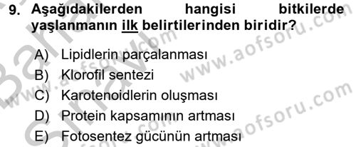 Bahçe Tarımı 1 Dersi 2016 - 2017 Yılı (Vize) Ara Sınav Soruları 9. Soru