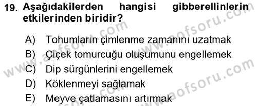 Bahçe Tarımı 1 Dersi 2016 - 2017 Yılı (Final) Dönem Sonu Sınav Soruları 19. Soru