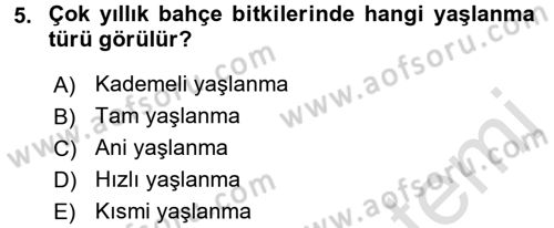 Bahçe Tarımı 1 Dersi 2016 - 2017 Yılı (Final) Dönem Sonu Sınav Soruları 5. Soru