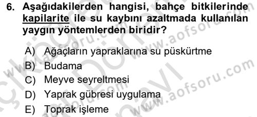 Bahçe Tarımı 1 Dersi 2016 - 2017 Yılı (Final) Dönem Sonu Sınav Soruları 6. Soru