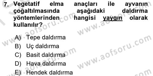 Bahçe Tarımı 1 Dersi 2016 - 2017 Yılı (Final) Dönem Sonu Sınav Soruları 7. Soru