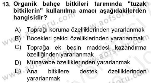 Bahçe Tarımı 1 Dersi 2017 - 2018 Yılı 3 Ders Sınav Soruları 13. Soru