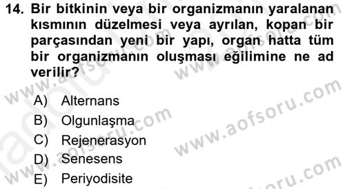 Bahçe Tarımı 1 Dersi 2017 - 2018 Yılı 3 Ders Sınav Soruları 14. Soru