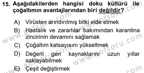 Bahçe Tarımı 1 Dersi 2017 - 2018 Yılı 3 Ders Sınav Soruları 15. Soru