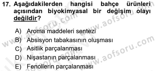 Bahçe Tarımı 1 Dersi 2017 - 2018 Yılı 3 Ders Sınav Soruları 17. Soru
