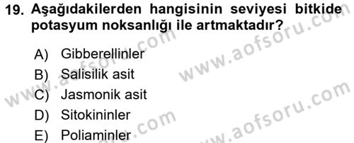 Bahçe Tarımı 1 Dersi 2017 - 2018 Yılı 3 Ders Sınav Soruları 19. Soru