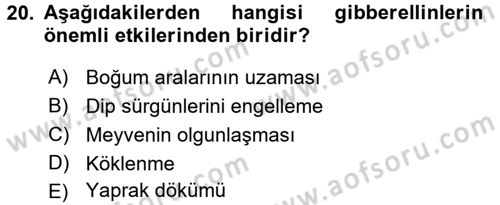 Bahçe Tarımı 1 Dersi 2017 - 2018 Yılı 3 Ders Sınav Soruları 20. Soru