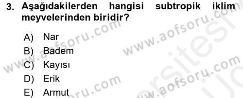 Bahçe Tarımı 1 Dersi 2017 - 2018 Yılı 3 Ders Sınav Soruları 3. Soru