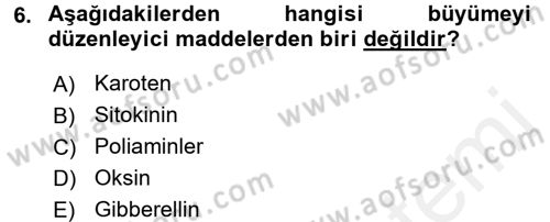 Bahçe Tarımı 1 Dersi 2017 - 2018 Yılı 3 Ders Sınav Soruları 6. Soru