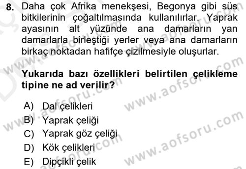 Bahçe Tarımı 1 Dersi 2017 - 2018 Yılı 3 Ders Sınav Soruları 8. Soru