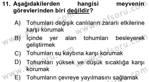 Bahçe Tarımı 1 Dersi 2017 - 2018 Yılı (Vize) Ara Sınav Soruları 11. Soru