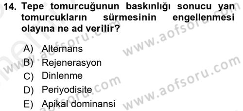 Bahçe Tarımı 1 Dersi 2017 - 2018 Yılı (Vize) Ara Sınav Soruları 14. Soru