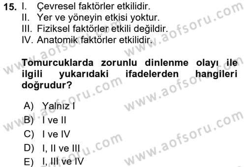 Bahçe Tarımı 1 Dersi 2017 - 2018 Yılı (Vize) Ara Sınav Soruları 15. Soru