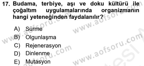 Bahçe Tarımı 1 Dersi 2017 - 2018 Yılı (Vize) Ara Sınav Soruları 17. Soru