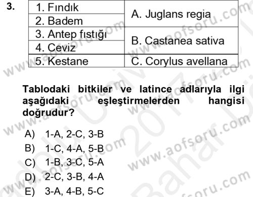 Bahçe Tarımı 1 Dersi 2017 - 2018 Yılı (Vize) Ara Sınav Soruları 3. Soru
