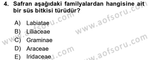 Bahçe Tarımı 1 Dersi 2017 - 2018 Yılı (Vize) Ara Sınav Soruları 4. Soru