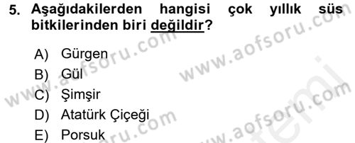 Bahçe Tarımı 1 Dersi 2017 - 2018 Yılı (Vize) Ara Sınav Soruları 5. Soru