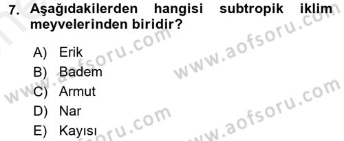 Bahçe Tarımı 1 Dersi 2017 - 2018 Yılı (Vize) Ara Sınav Soruları 7. Soru