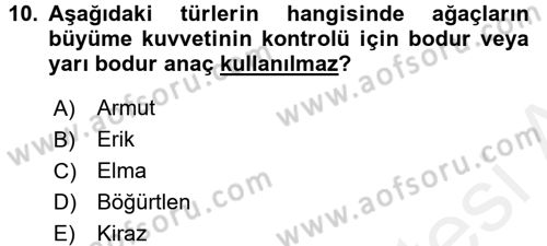 Bahçe Tarımı 1 Dersi 2017 - 2018 Yılı (Final) Dönem Sonu Sınav Soruları 10. Soru