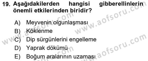 Bahçe Tarımı 1 Dersi 2017 - 2018 Yılı (Final) Dönem Sonu Sınav Soruları 19. Soru