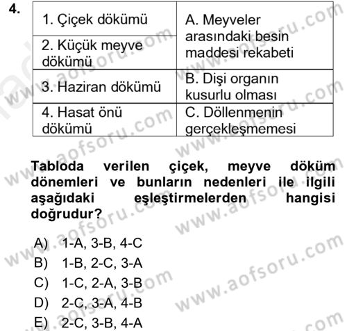 Bahçe Tarımı 1 Dersi 2017 - 2018 Yılı (Final) Dönem Sonu Sınav Soruları 4. Soru
