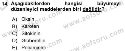 Bahçe Tarımı 1 Dersi 2018 - 2019 Yılı 3 Ders Sınav Soruları 14. Soru
