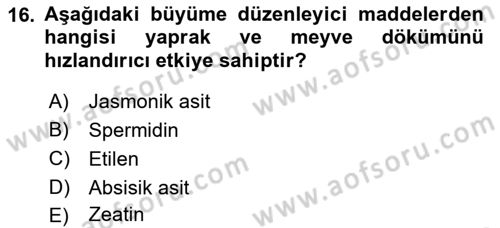 Bahçe Tarımı 1 Dersi 2018 - 2019 Yılı 3 Ders Sınav Soruları 16. Soru