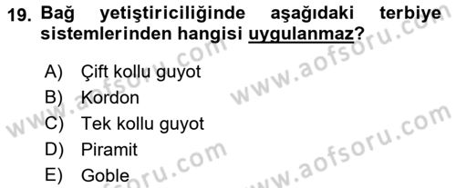 Bahçe Tarımı 1 Dersi 2018 - 2019 Yılı 3 Ders Sınav Soruları 19. Soru